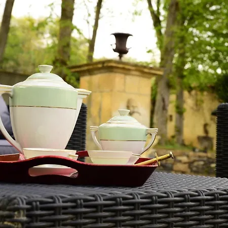 Chateau De Perpezat Bed & Breakfast *